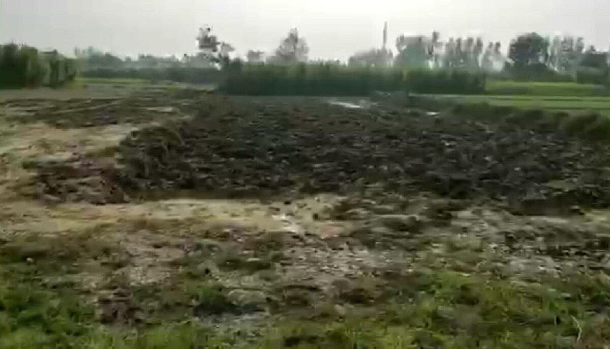 'खेत से निकले सोने-चांदी के सिक्के'