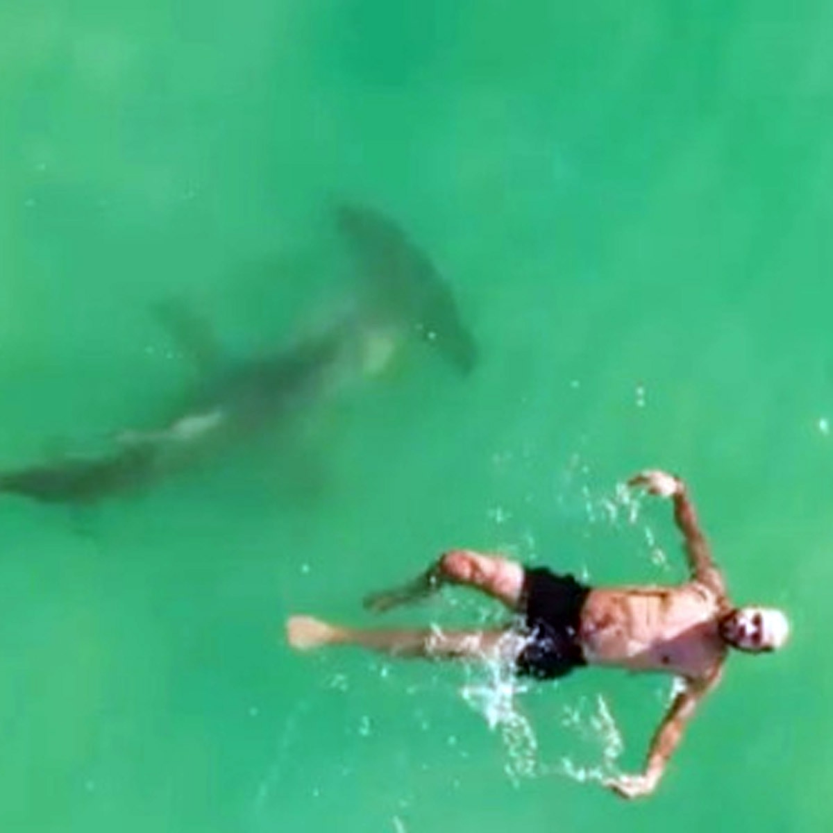 जेसन मैक्निटोश के ड्रोन की क्लिप