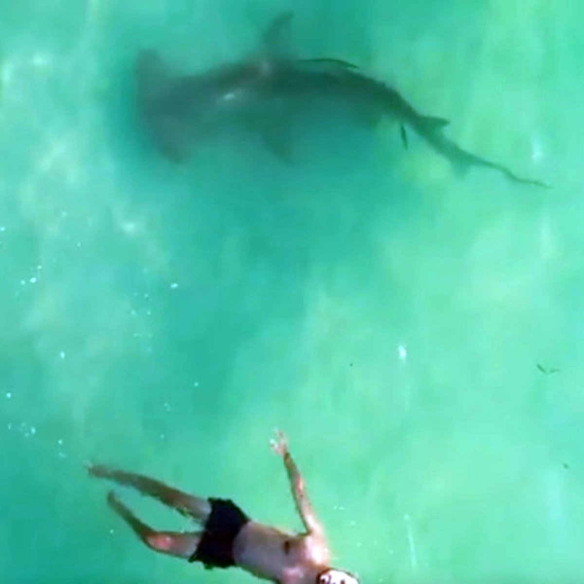 जेसन मैक्निटोश के ड्रोन की क्लिप