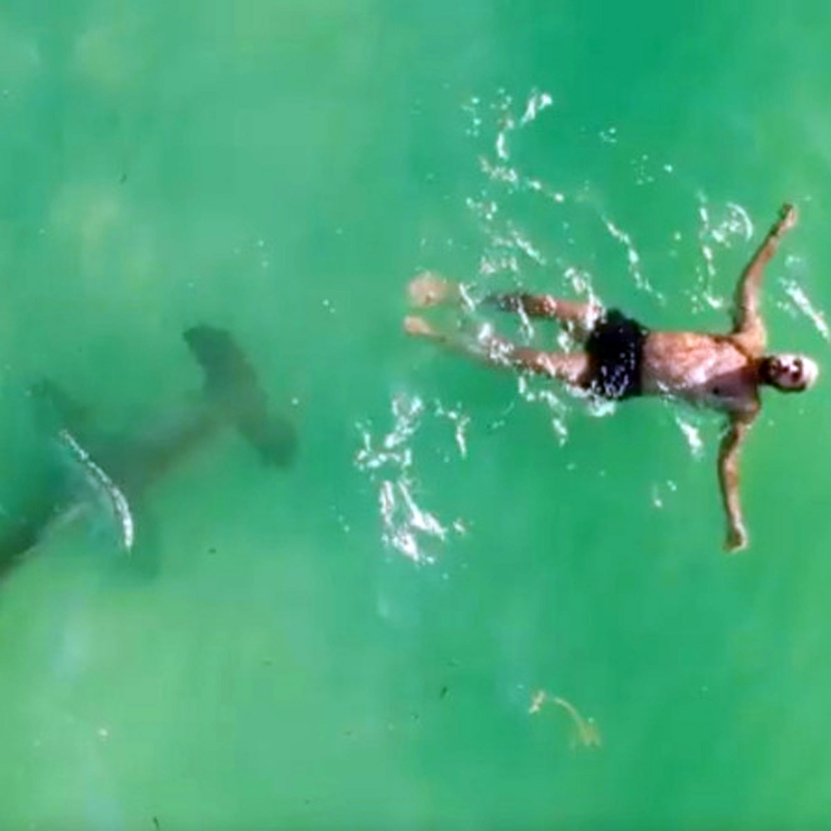 जेसन मैक्निटोश के ड्रोन की क्लिप