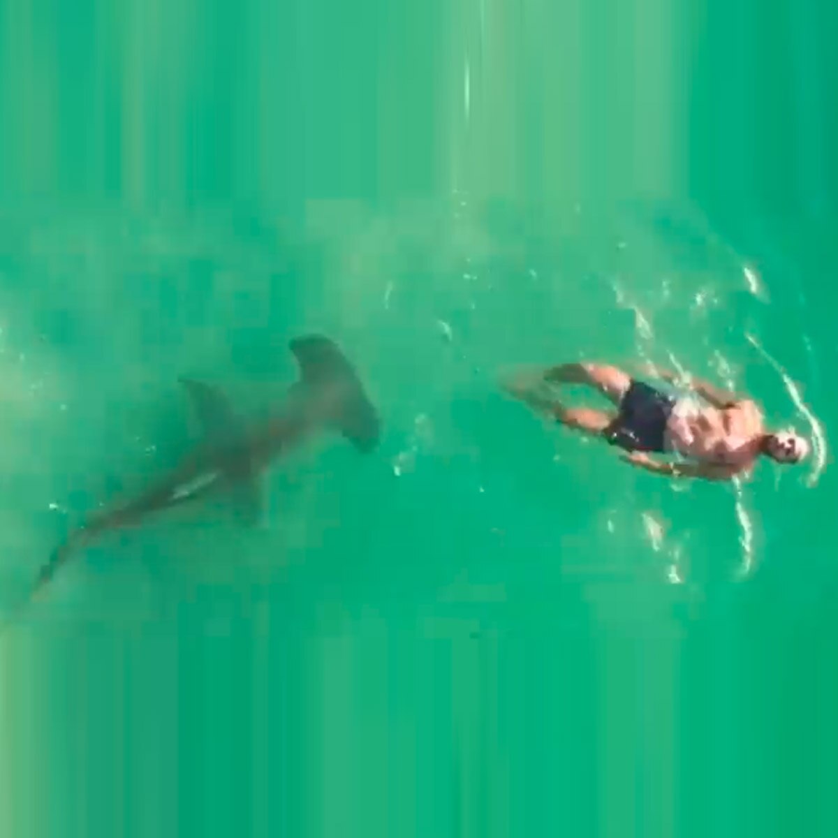 जेसन मैक्निटोश के ड्रोन की क्लिप