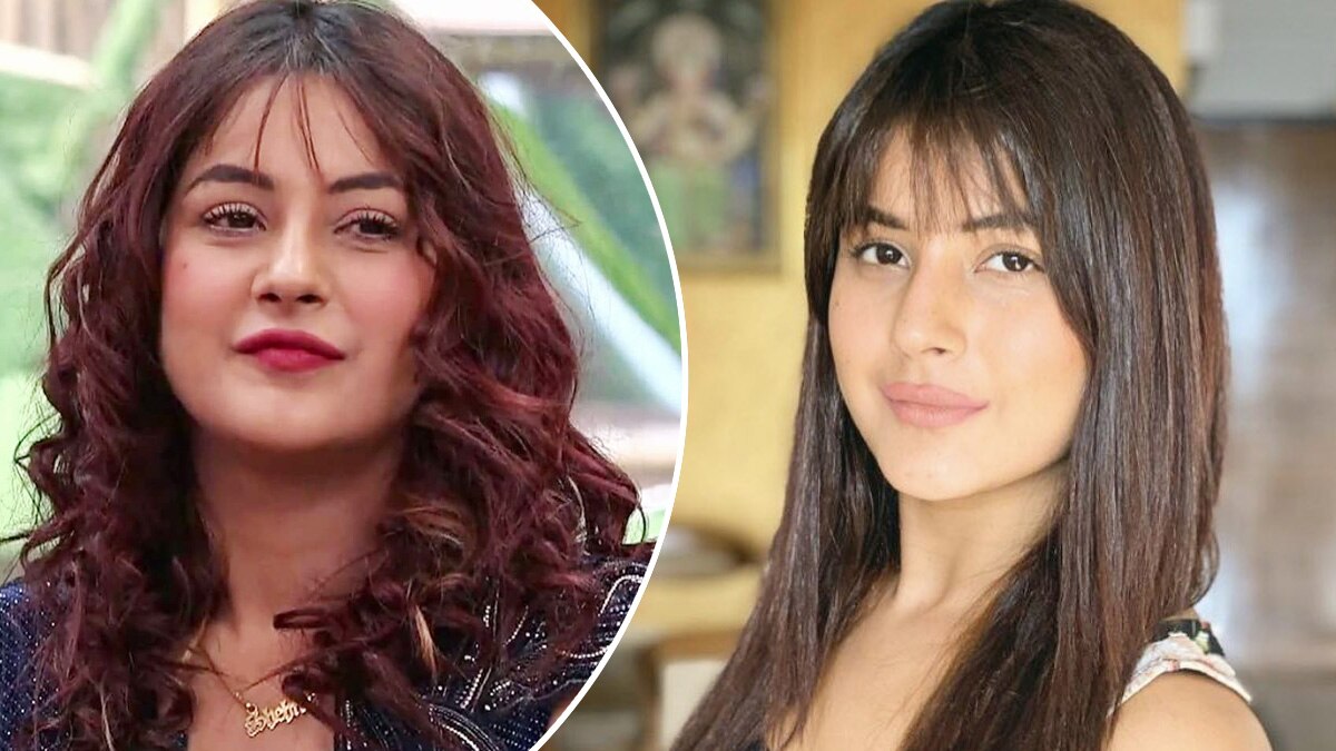 शहनाज गिल