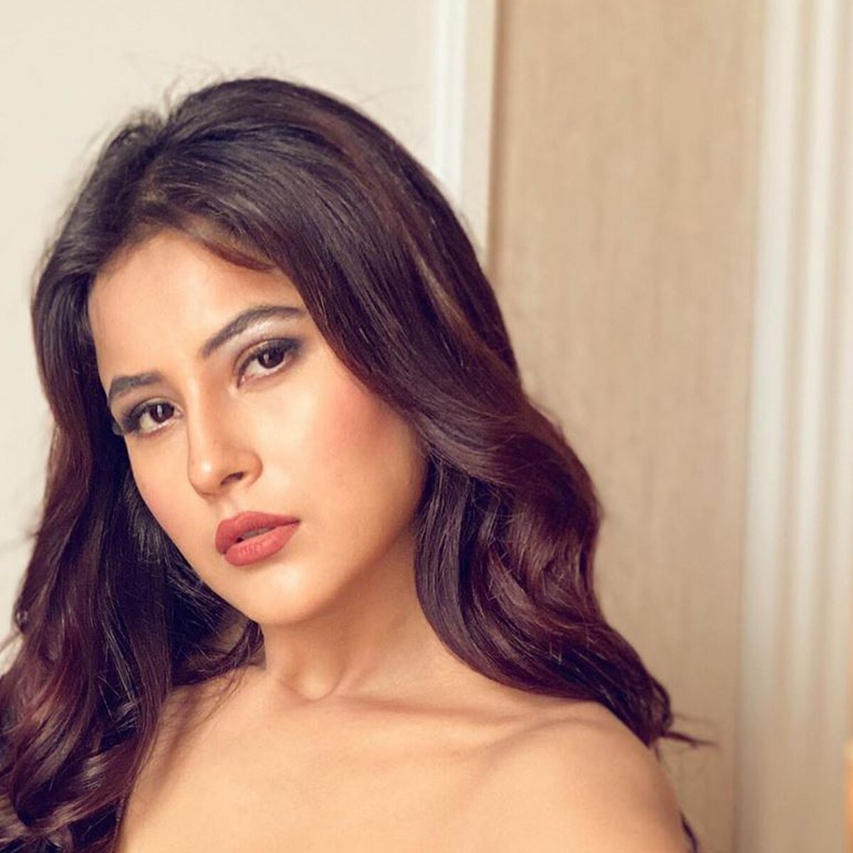 शहनाज गिल 