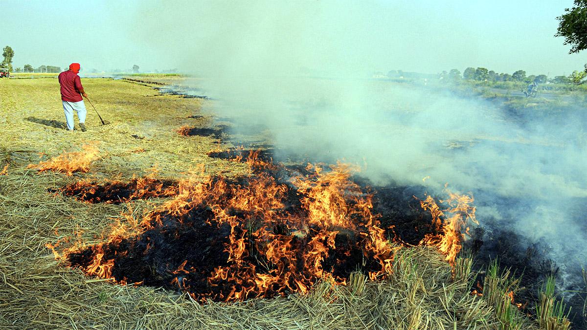 WHO report shows India-Pak dominates most polluted cities list