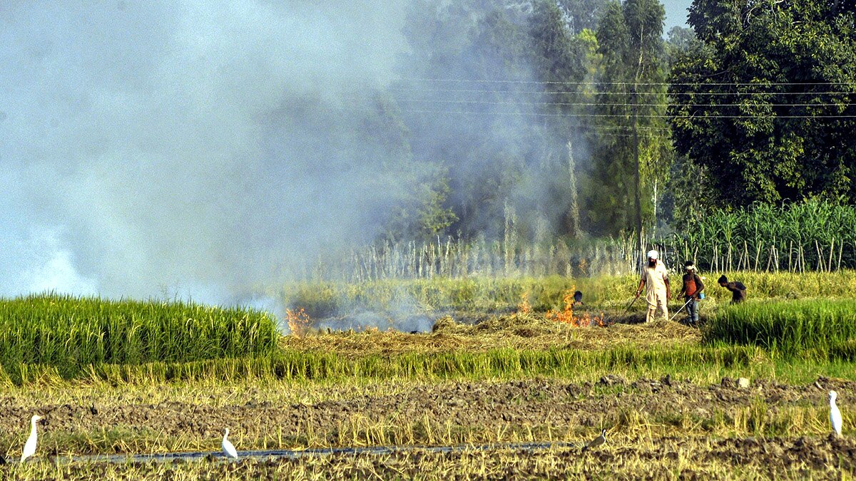 WHO report shows India-Pak dominates most polluted cities list