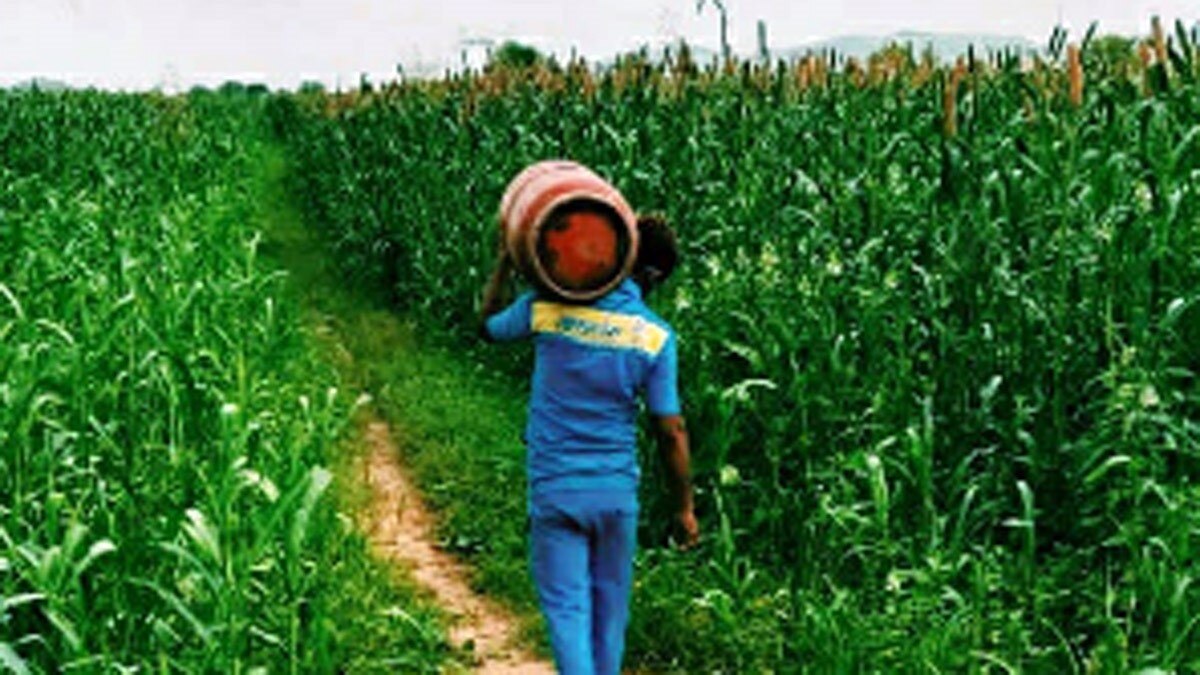 बढ़ सकते हैं LPG सिलेंडर के दाम