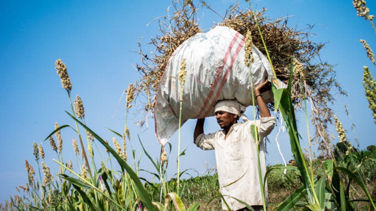 Online class during lockdown प्रतीकात्मक फोटो 