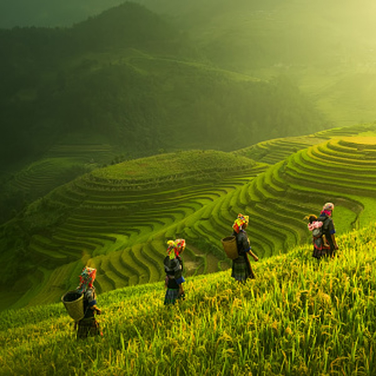 Vietnam (GettyImages)