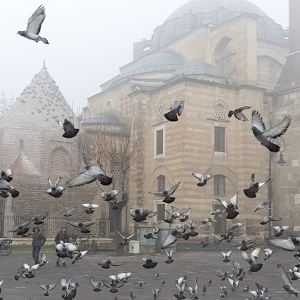 Turkey (GettyImages)
