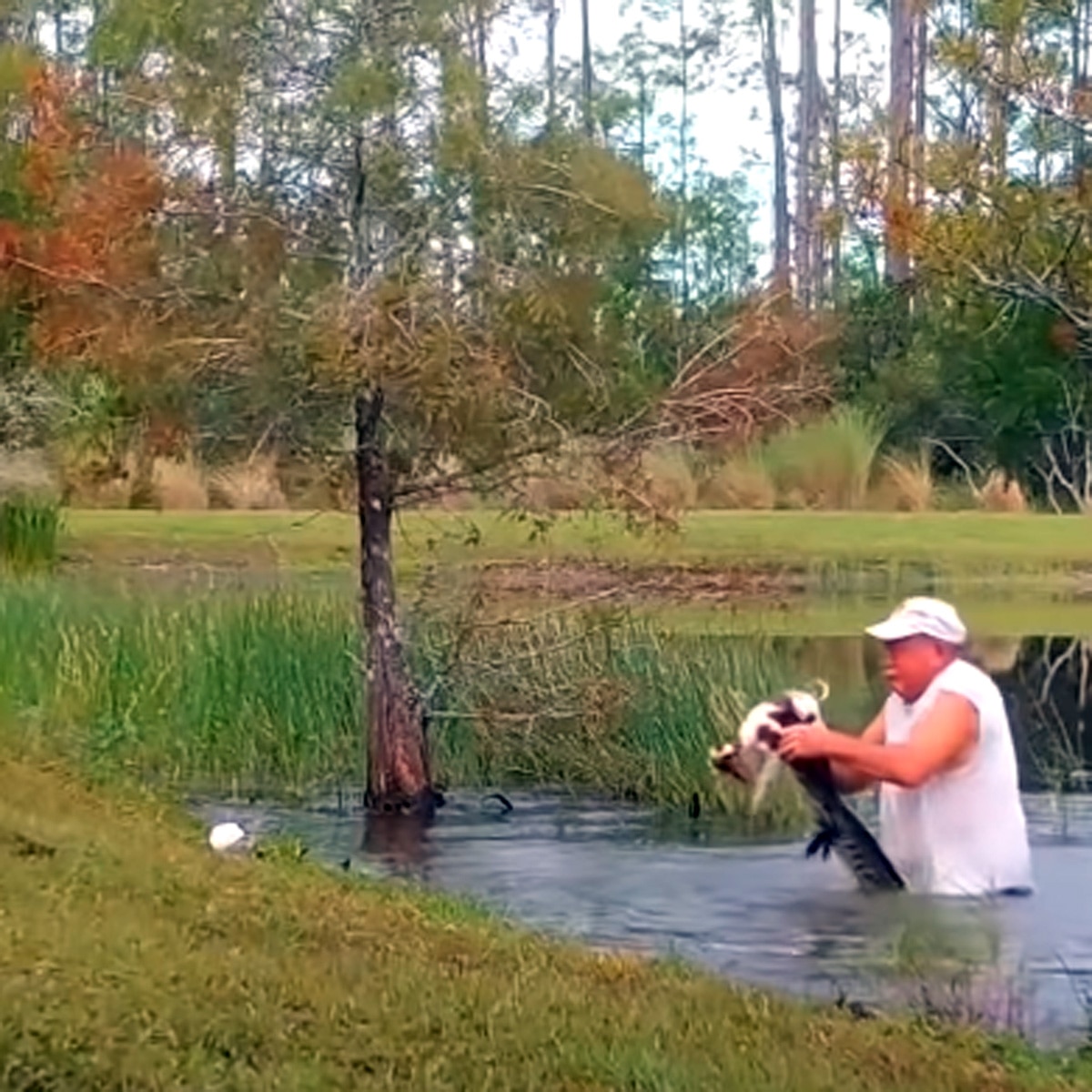 रिचर्ड विलबैंक्स अपने डॉग को बचाते हुए 