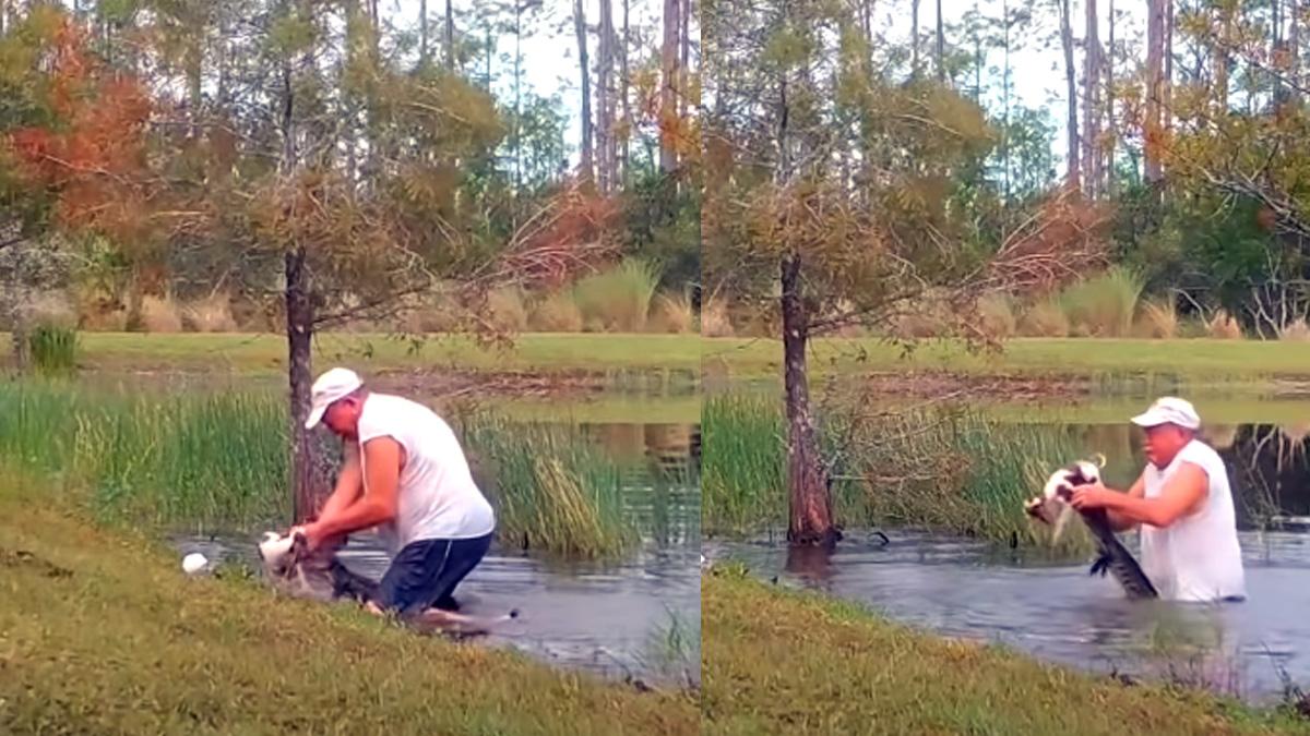 रिचर्ड विलबैंक्स सोर्स यूट्यूब