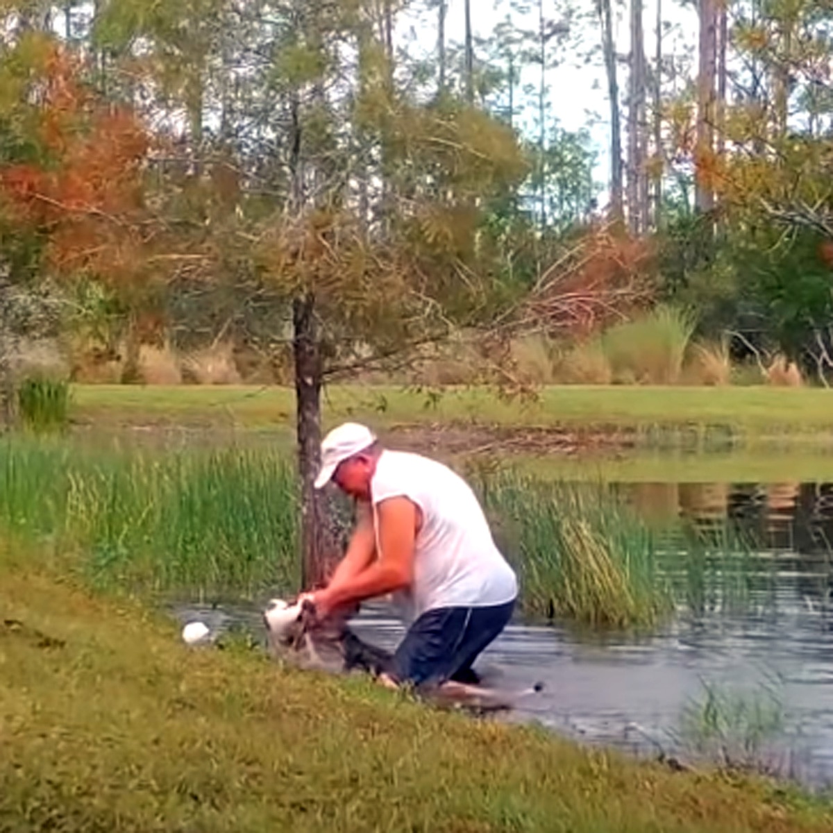 रिचर्ड विलबैंक्स अपने डॉग को बचाते हुए 