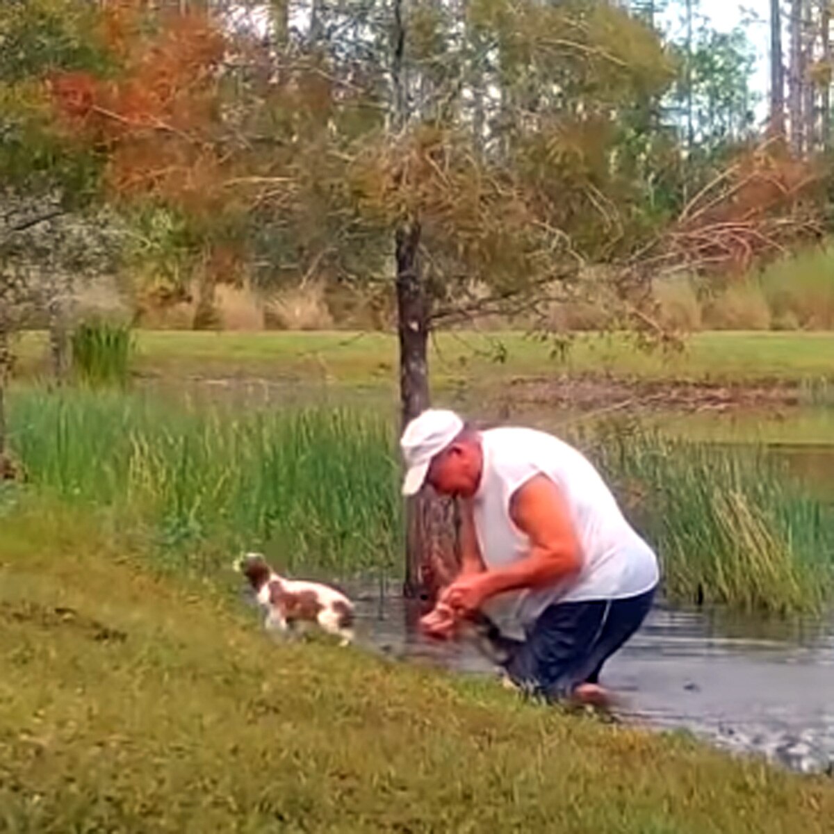 रिचर्ड विलबैंक्स अपने डॉग को बचाते हुए 