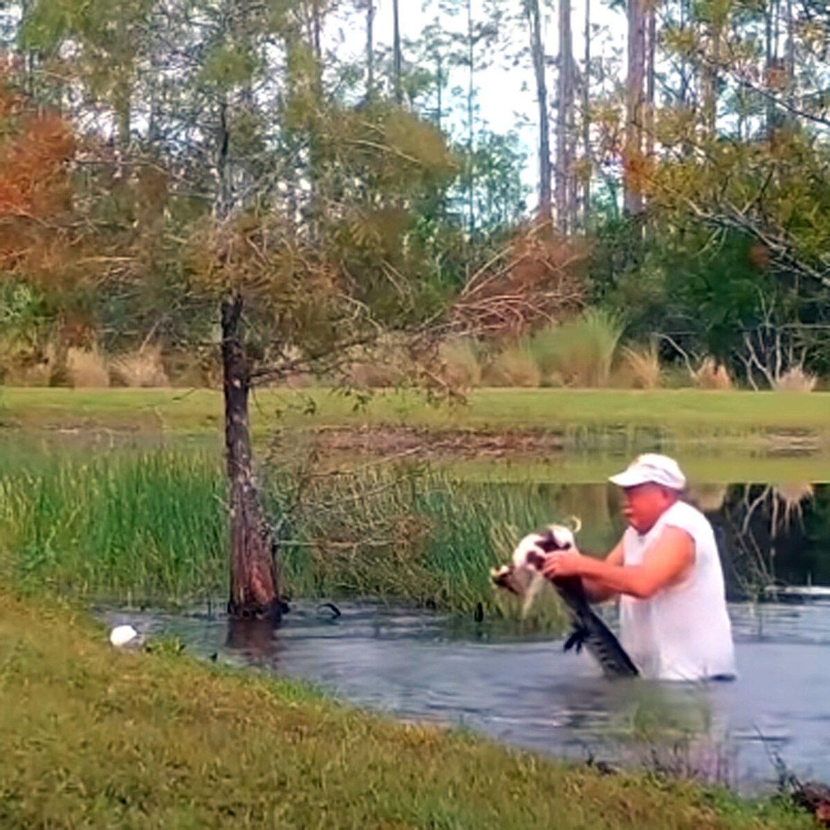 रिचर्ड विलबैंक्स अपने डॉग को बचाते हुए 