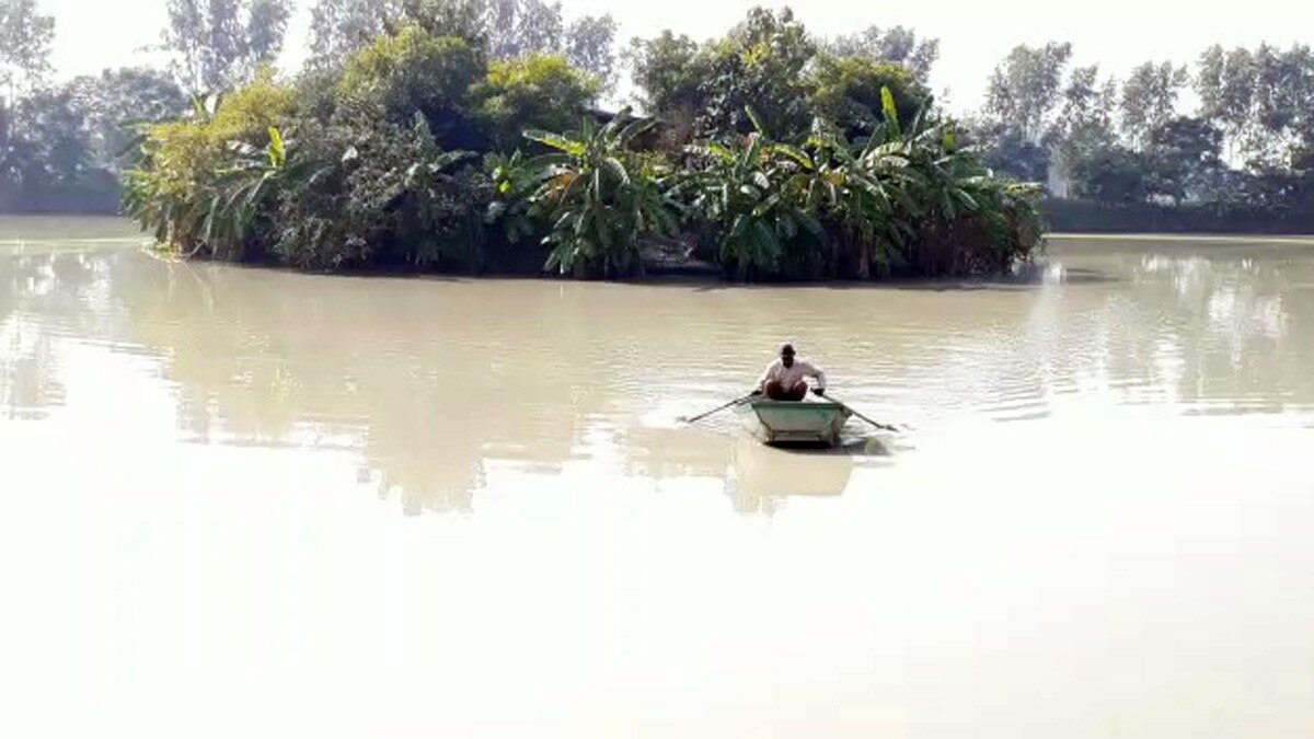 महिला ने अपने खेत में बनाया आईलैंड (फोटो आजतक)