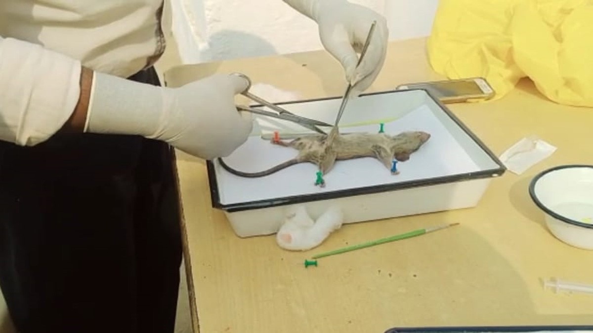 200 साल पुरानी बीमारी स्क्रब टाइफस फिर से लोगों में फैलने लगी (फोटो आजतक)