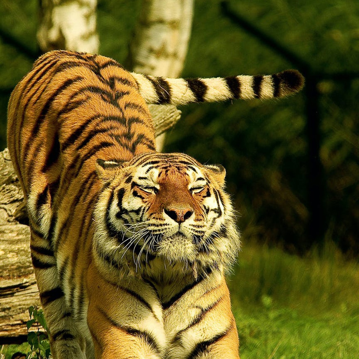 प्रतीकात्मक तस्वीर