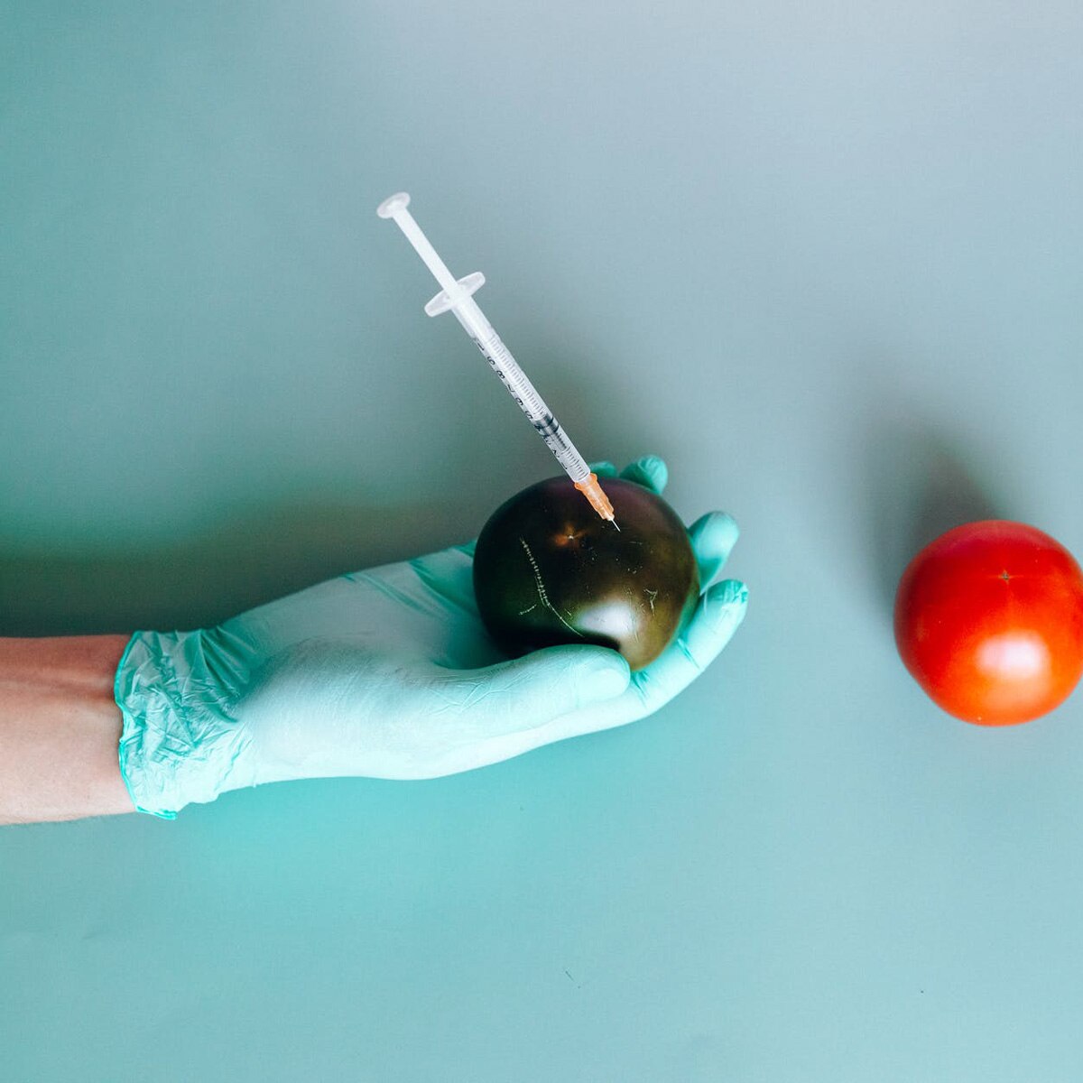 प्रतीकात्मक तस्वीर