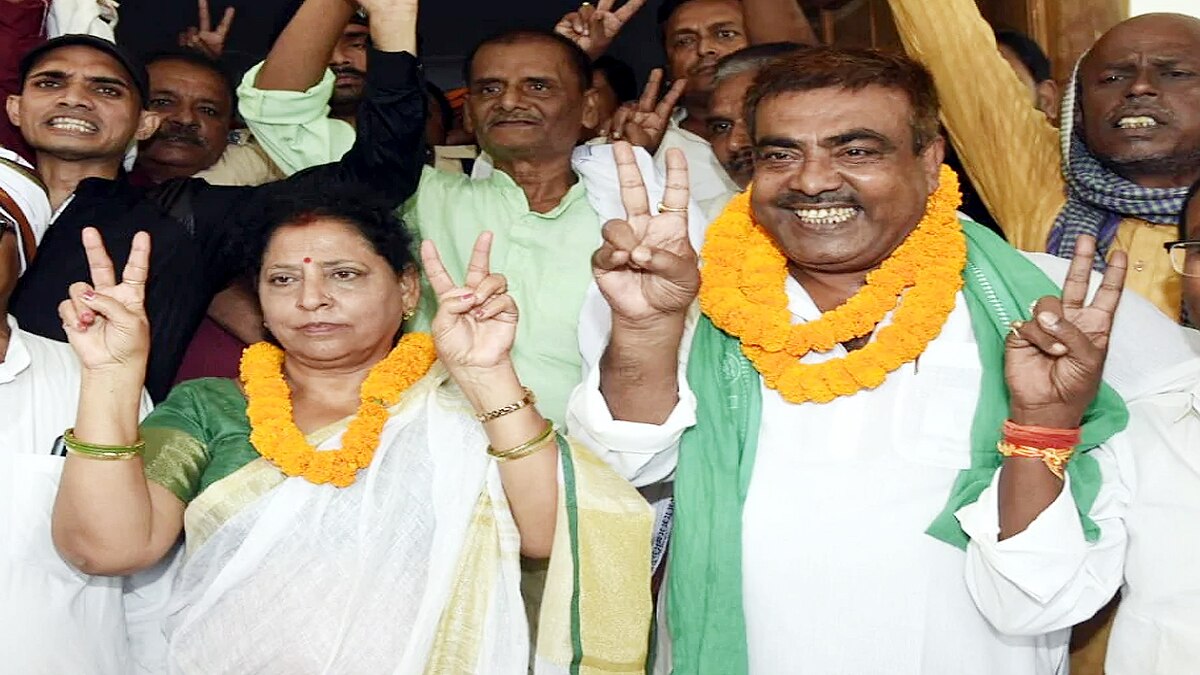 Which Bahubali won and Lost Bihar election 2020