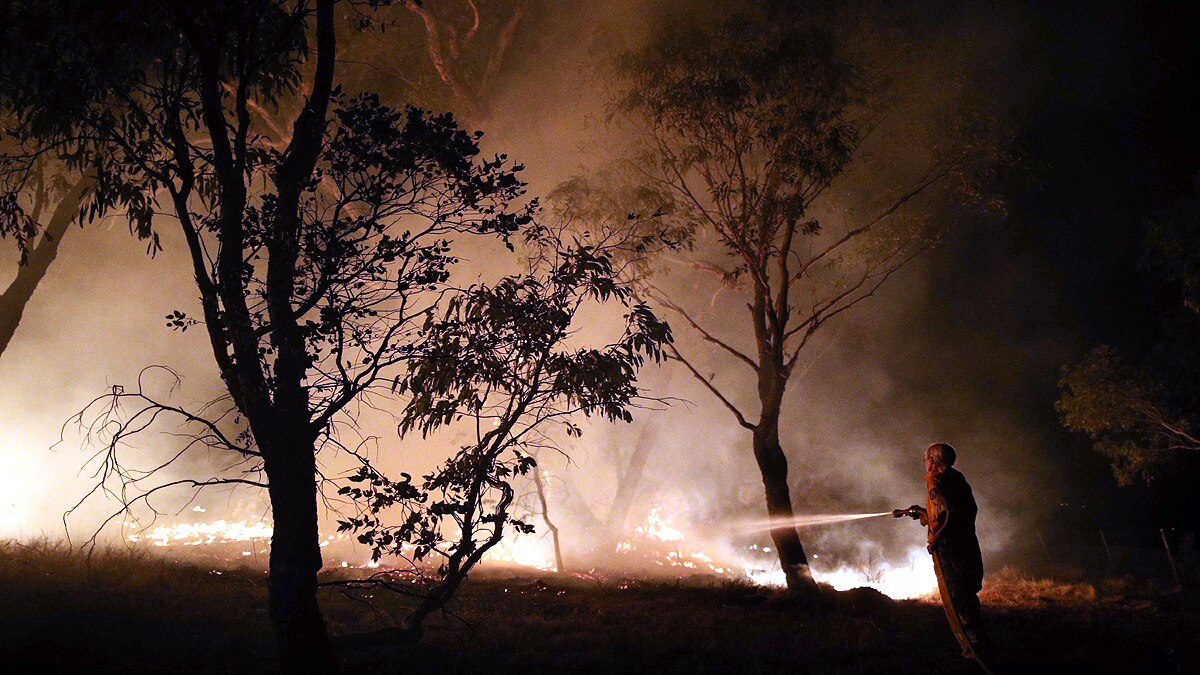 Forest Fire threatens 4400 Species on Earth