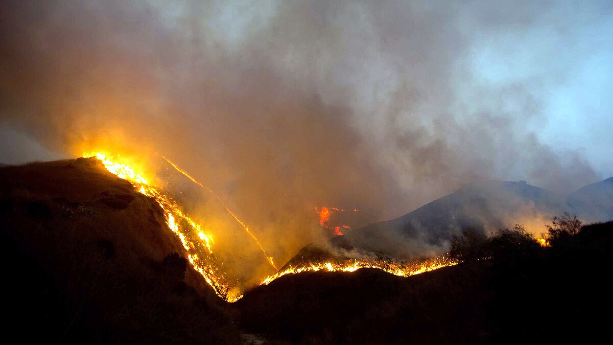 Forest Fire threatens 4400 Species on Earth