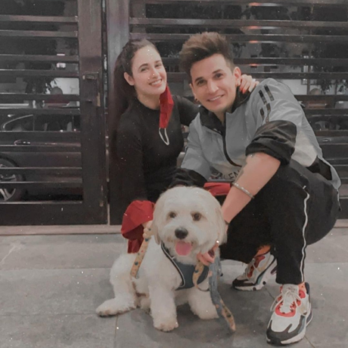 युविका चौधरी