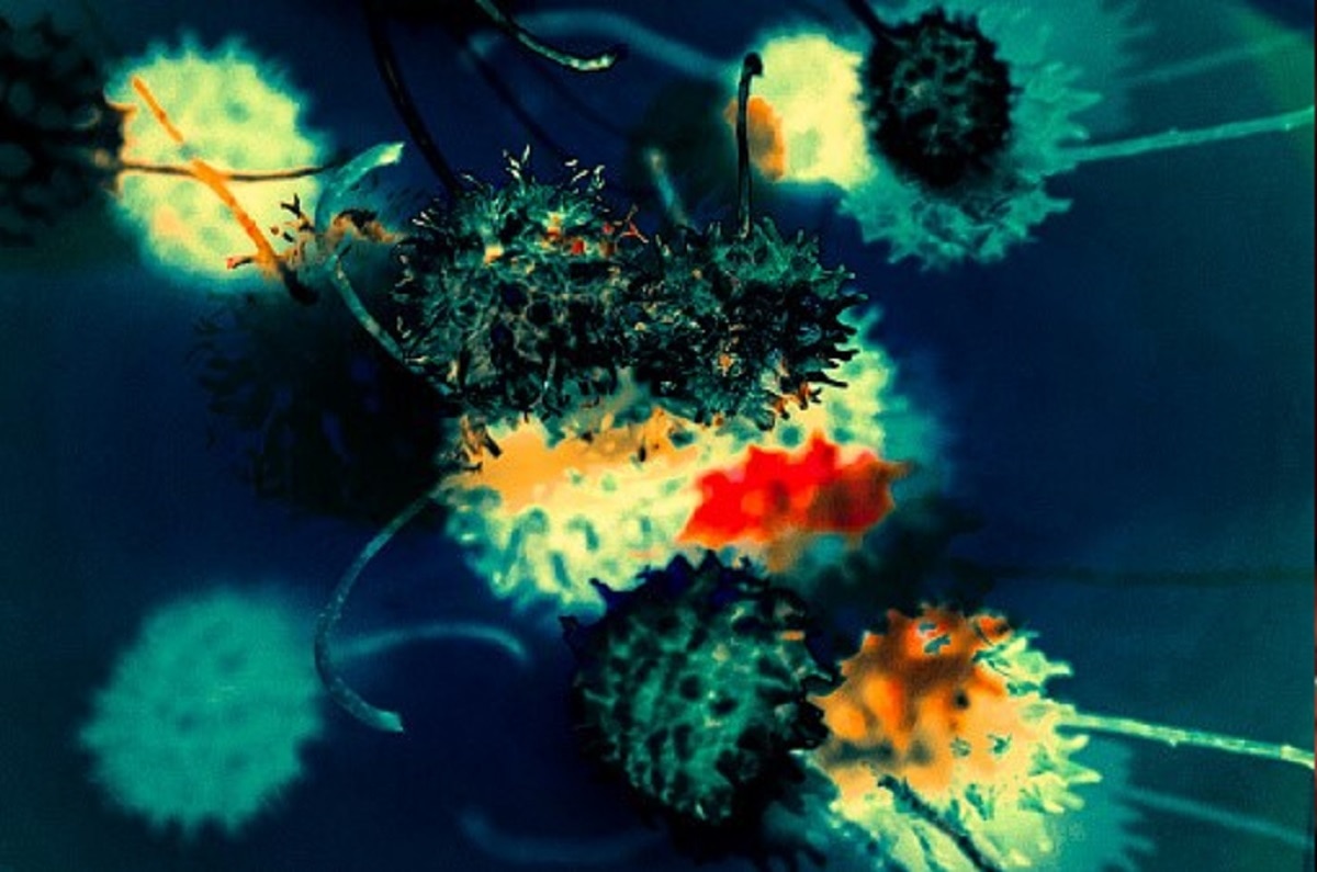 डीएनए में छिपा वायरस