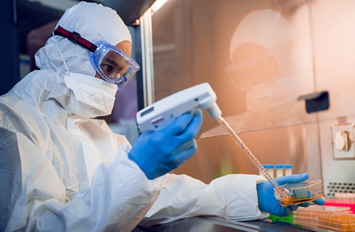 जानवरों का मॉडल