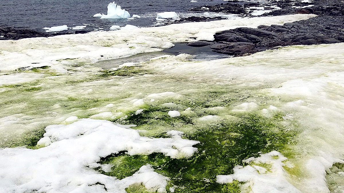 30000 earthquakes hits Antarctica