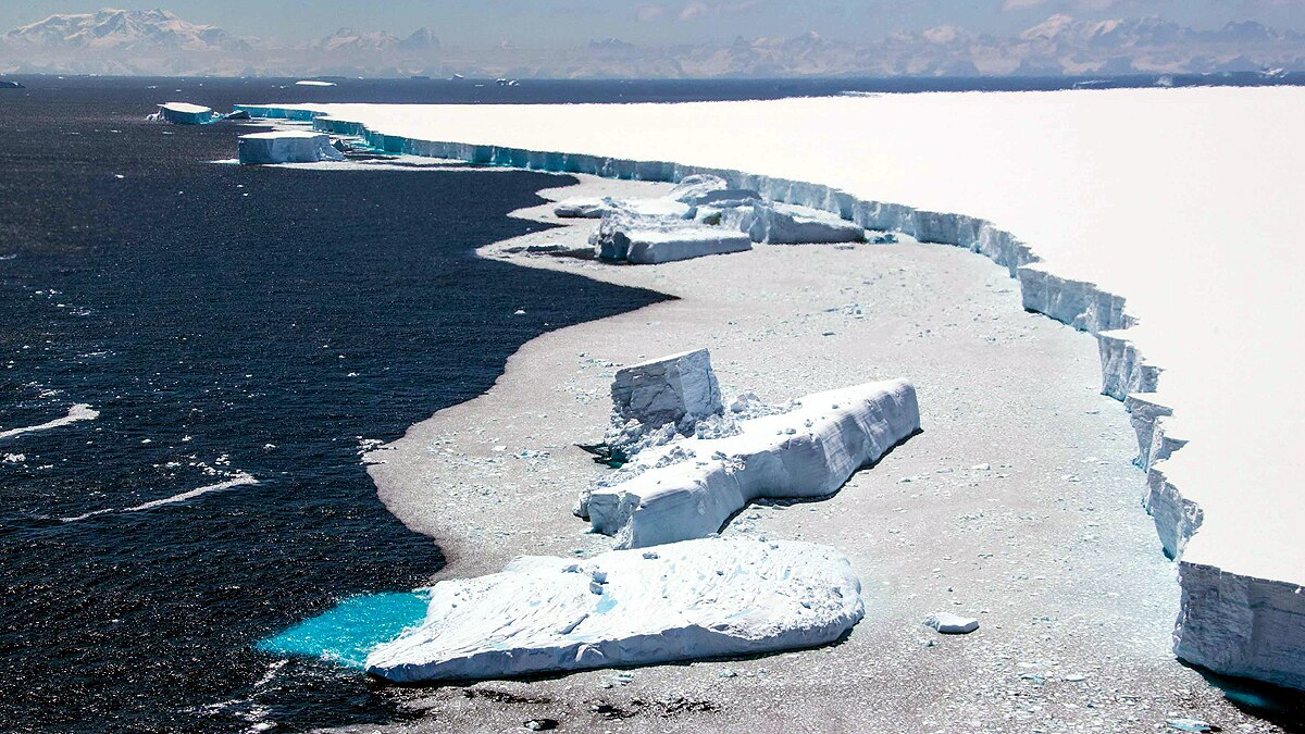 Iceberg A68a dangerous for 20 lakh penguins