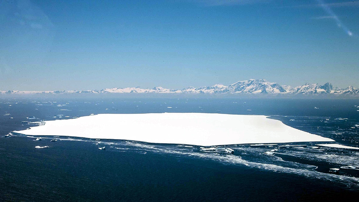 Iceberg A68a dangerous for 20 lakh penguins