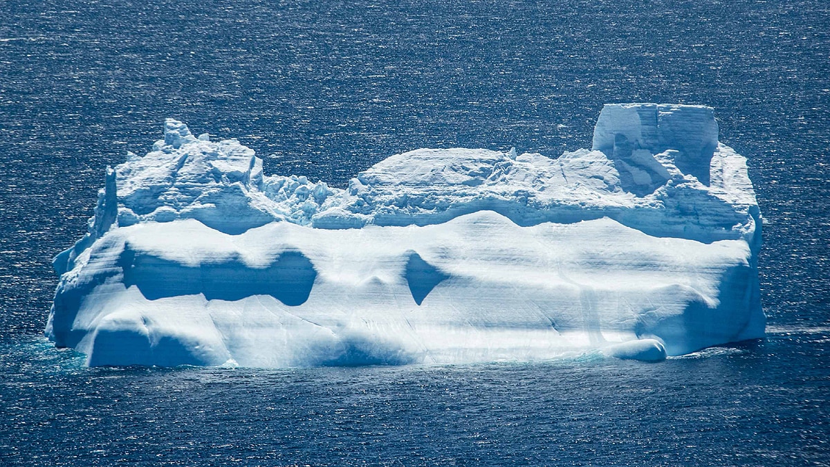 Iceberg A68a dangerous for 20 lakh penguins