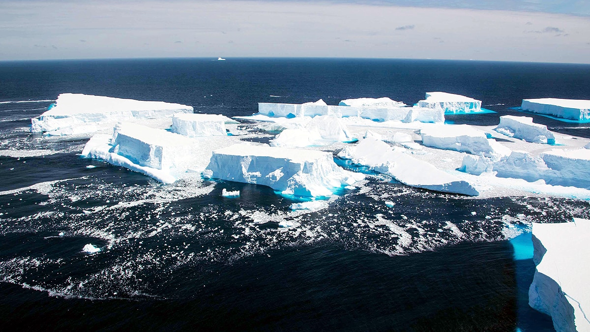 Iceberg A68a dangerous for 20 lakh penguins