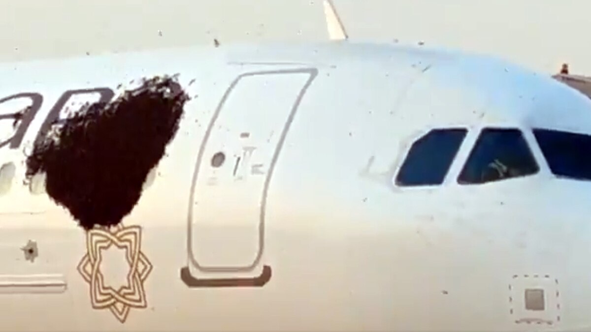 Swarm of Bees On Air Vistara Plane in Kolkata Airport 