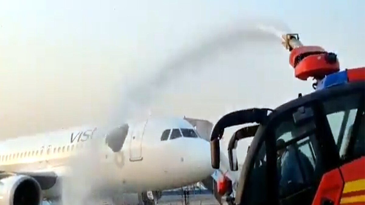 Swarm of Bees On Air Vistara Plane in Kolkata Airport 