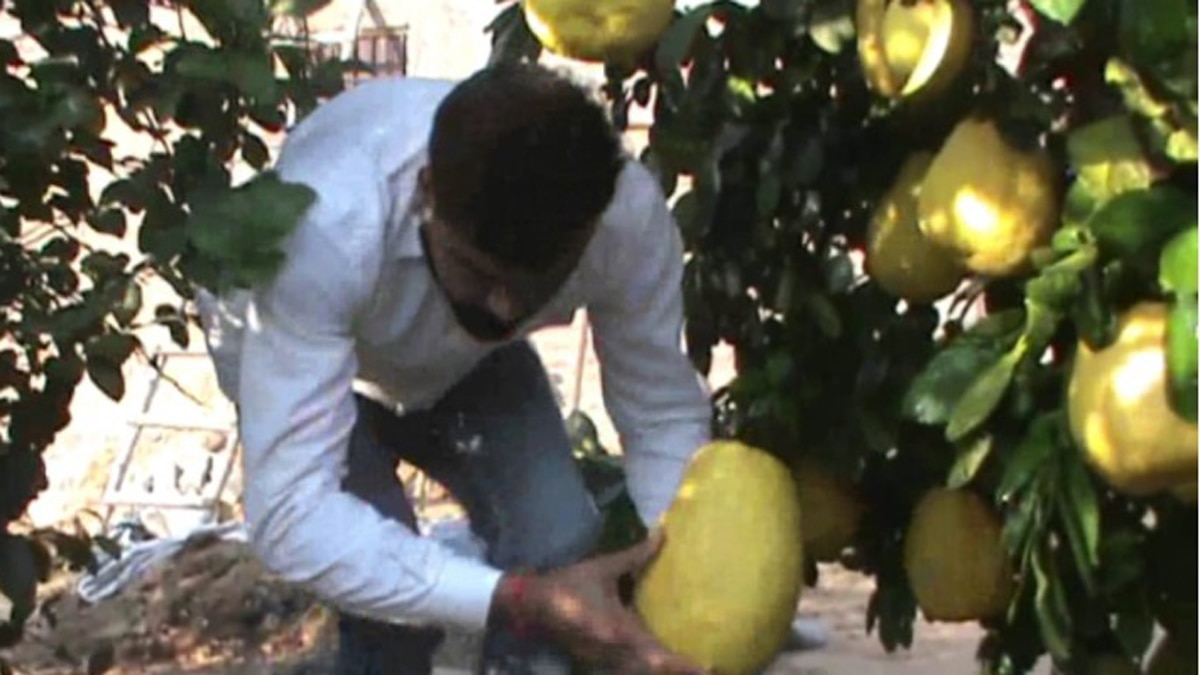 गिनीज बुक ऑफ वल्ड रिकार्ड के लिए करेगा आवेदन.