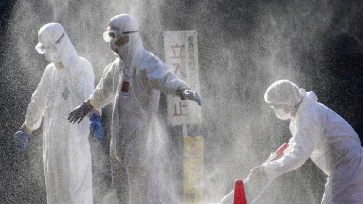 महामारी ने मचाया कोहराम