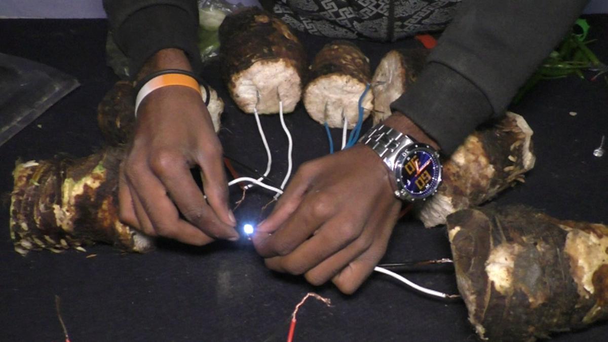 सब्जी और फल से जलता है बल्ब, चार्ज होता है मोबाइल.