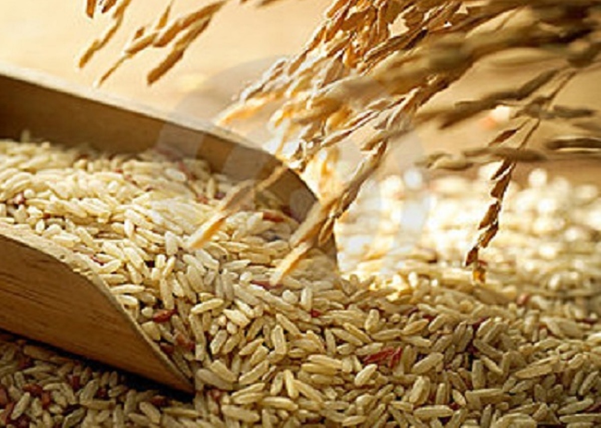 साबुत अनाज