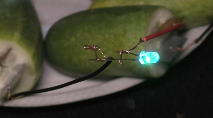 रोबिन पूर्व राष्ट्रपति डॉ अब्दुल कलाम को अपना आदर्श मानता है.