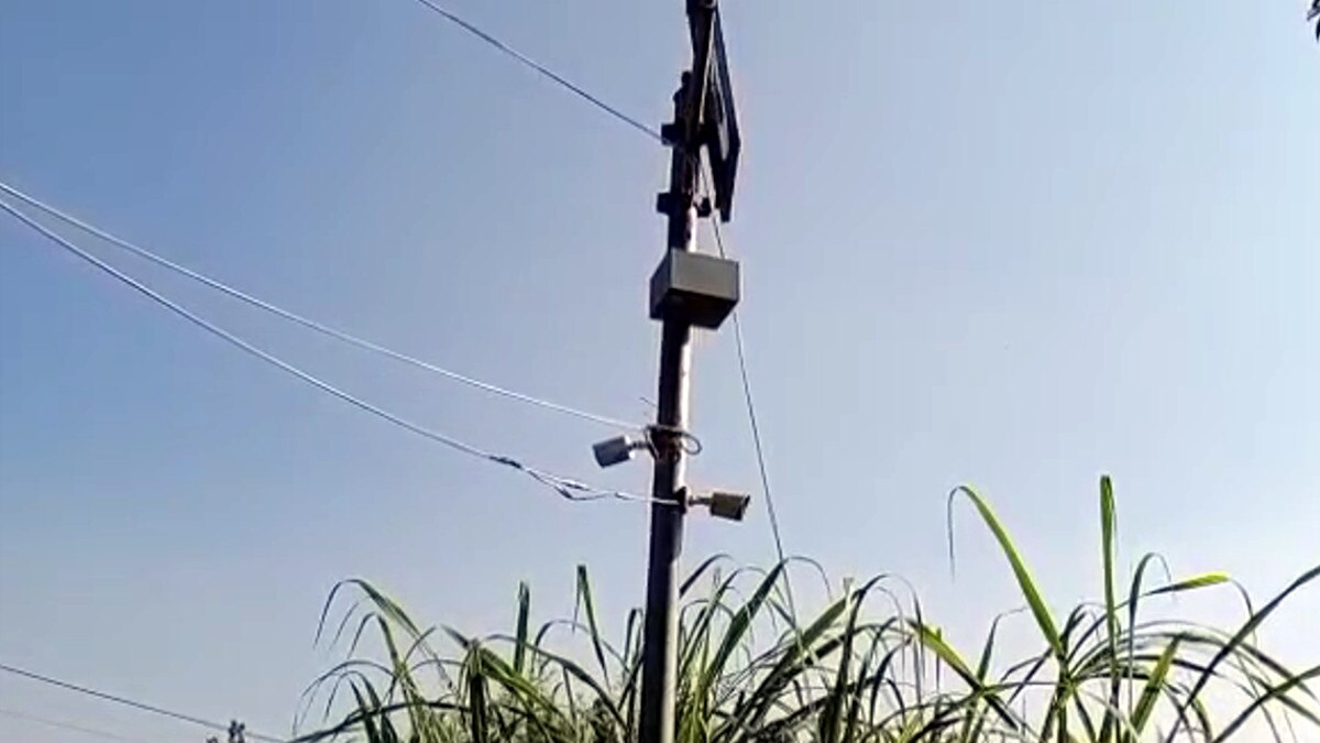 झारखंड का हाइटेक किसान, सीसीटीवी से कर रहा खेतों की मॉनिटरिंग, मोबाइल से रखता है नजर 