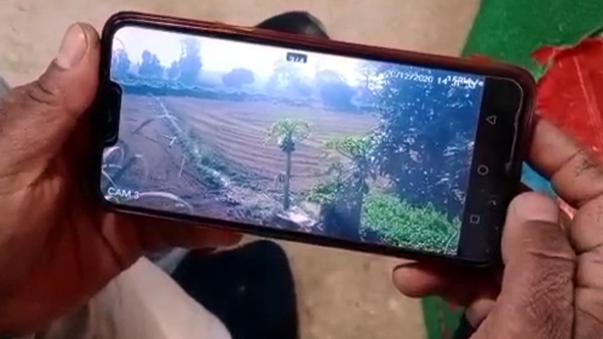 सीसीटीवी से खेतों की न‍िगरानी.