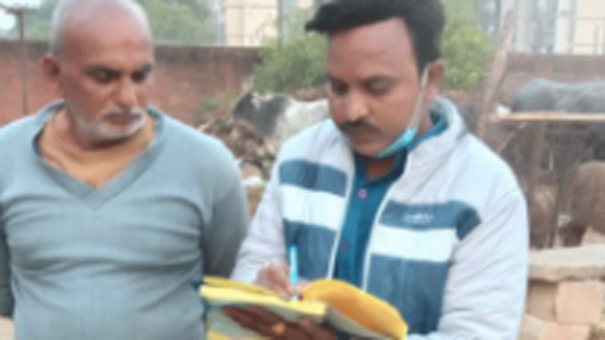 नई सड़क पर भैंस ने किया गोबर (फोटो आजतक)