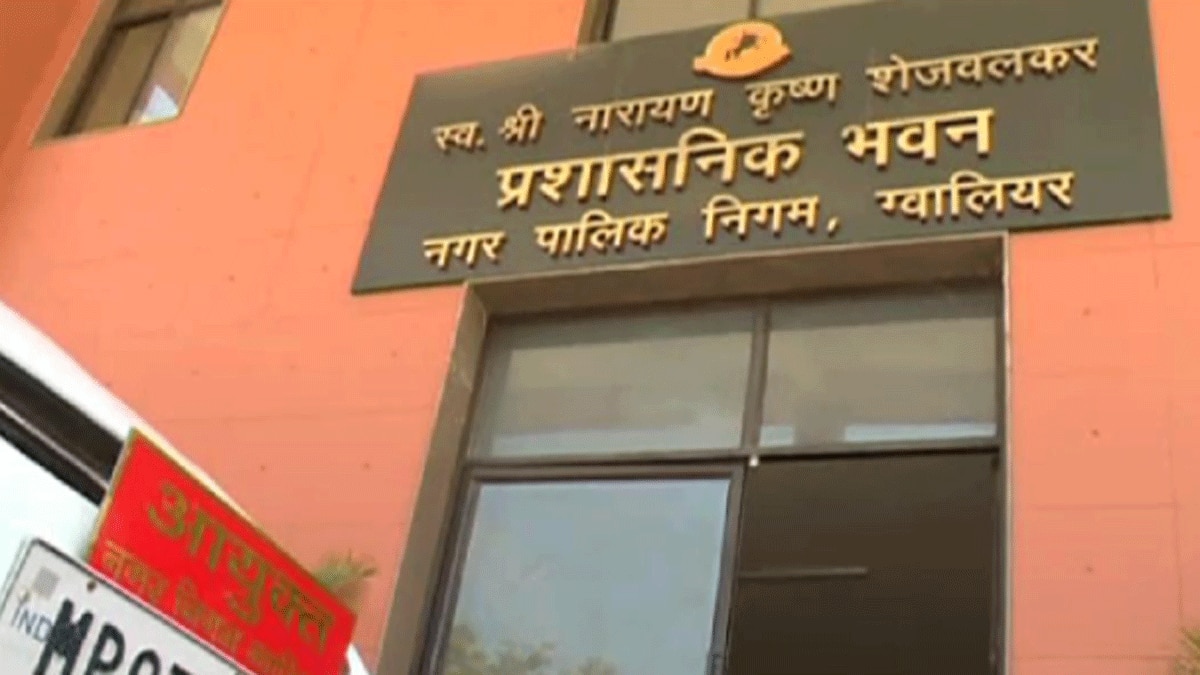 नई सड़क पर भैंस ने किया गोबर (फोटो आजतक)