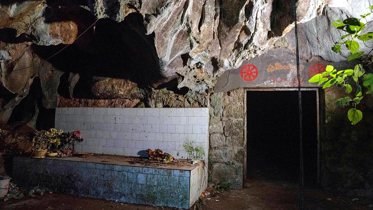 Black Hole of Coronavirus China Bat Caves 