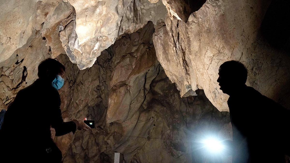 Black Hole of Coronavirus China Bat Caves 