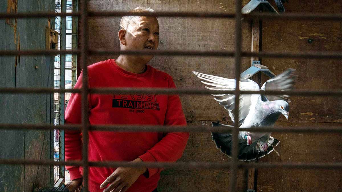 Black Hole of Coronavirus China Bat Caves 