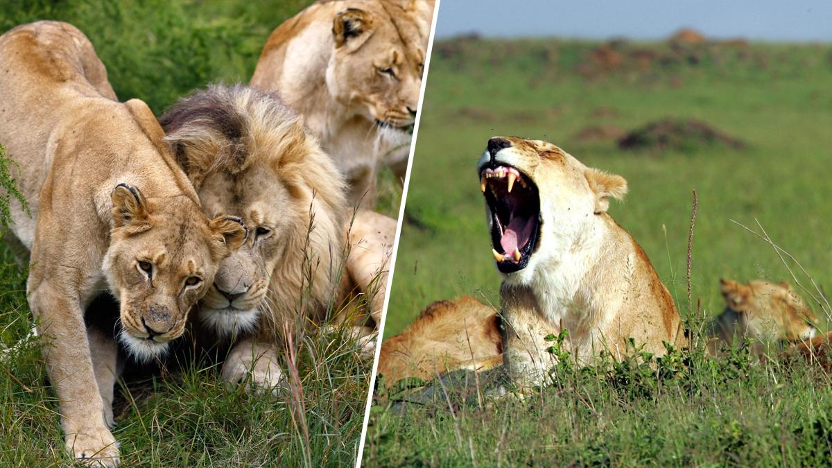 प्रतीकात्मक तस्वीर