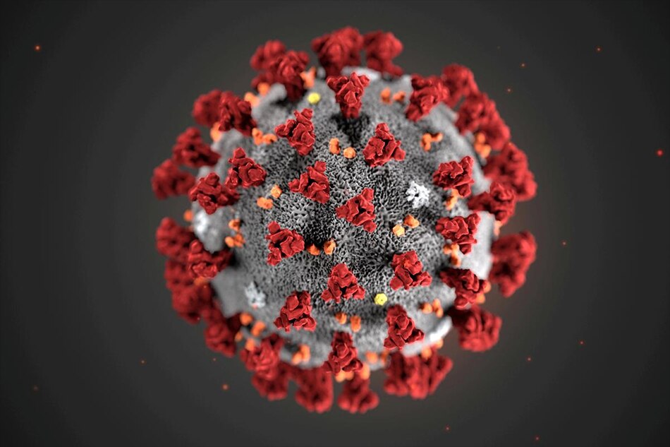 Taiwan coronavirus Taiwan coronavirus