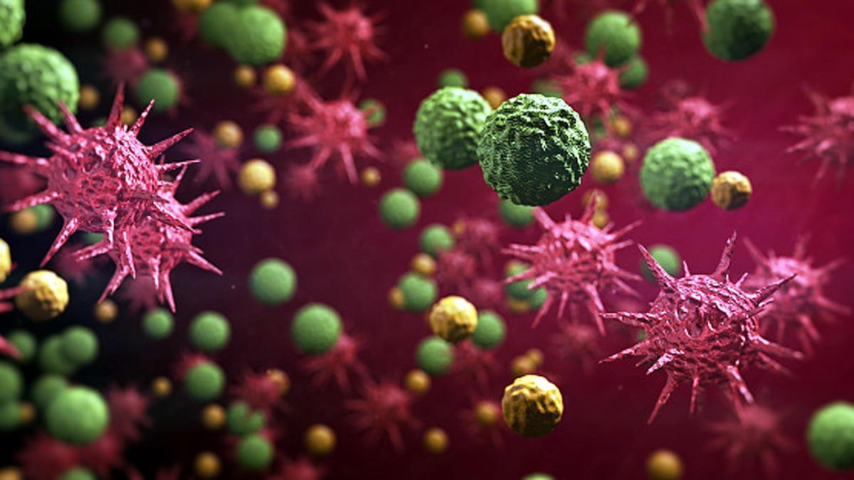 antibodies to Corona become more stronger